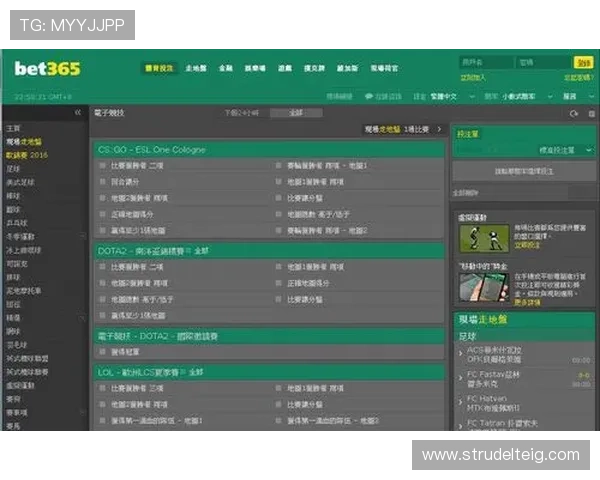 最新AG盘口网站评测，揭秘平台的可信度与用户体验