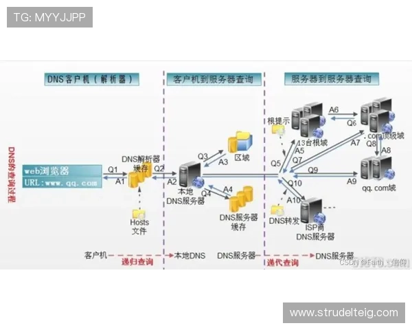 深度解析ob真人厅官方与其他平台的区别与优势 深度解析ob真人厅官方与其他平台的区别与优势