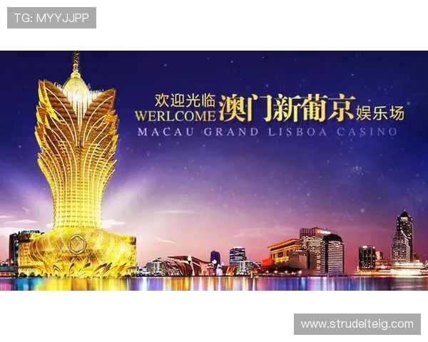 澳门棋牌在线登录入口官方平台全面升级，保障玩家安全畅享高品质棋牌游戏体验