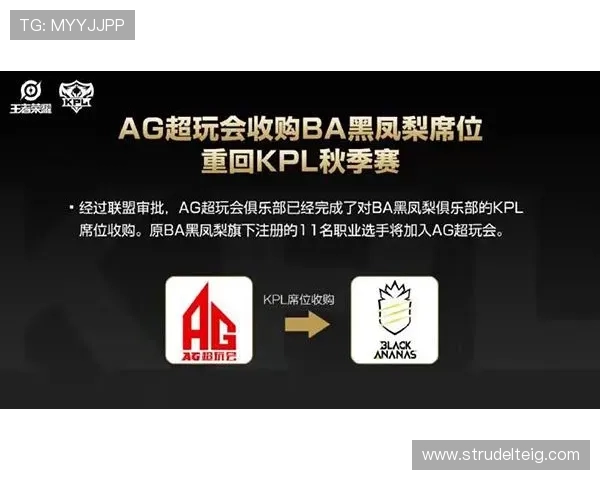 安全使用ag电竞官方登录入口,避免账号被盗的实用技巧与安全建议 安全使用ag电竞官方登录入口,避免账号被盗的实用技巧与安全建议