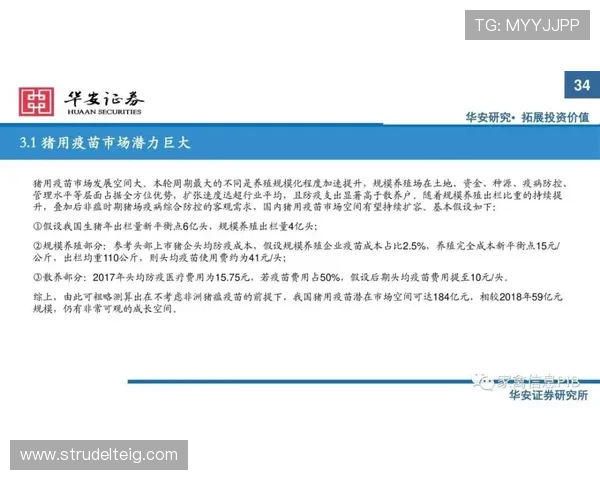 K8视讯中心安全保障措施详解:确保玩家资金与信息安全的全面措施介绍 K8视讯中心安全保障措施详解:确保玩家资金与信息安全的全面措施介绍