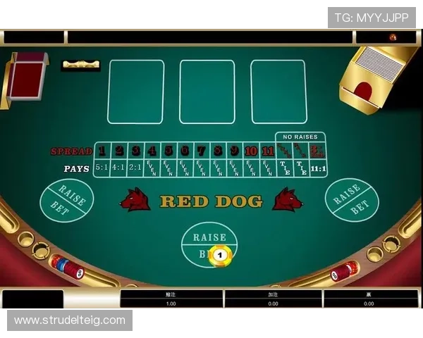 在bet365百家乐官网上学习专业的游戏技巧和策略,提升你的胜率实现稳健盈利 在bet365百家乐官网上学习专业的游戏技巧和策略,提升你的胜率实现稳健盈利